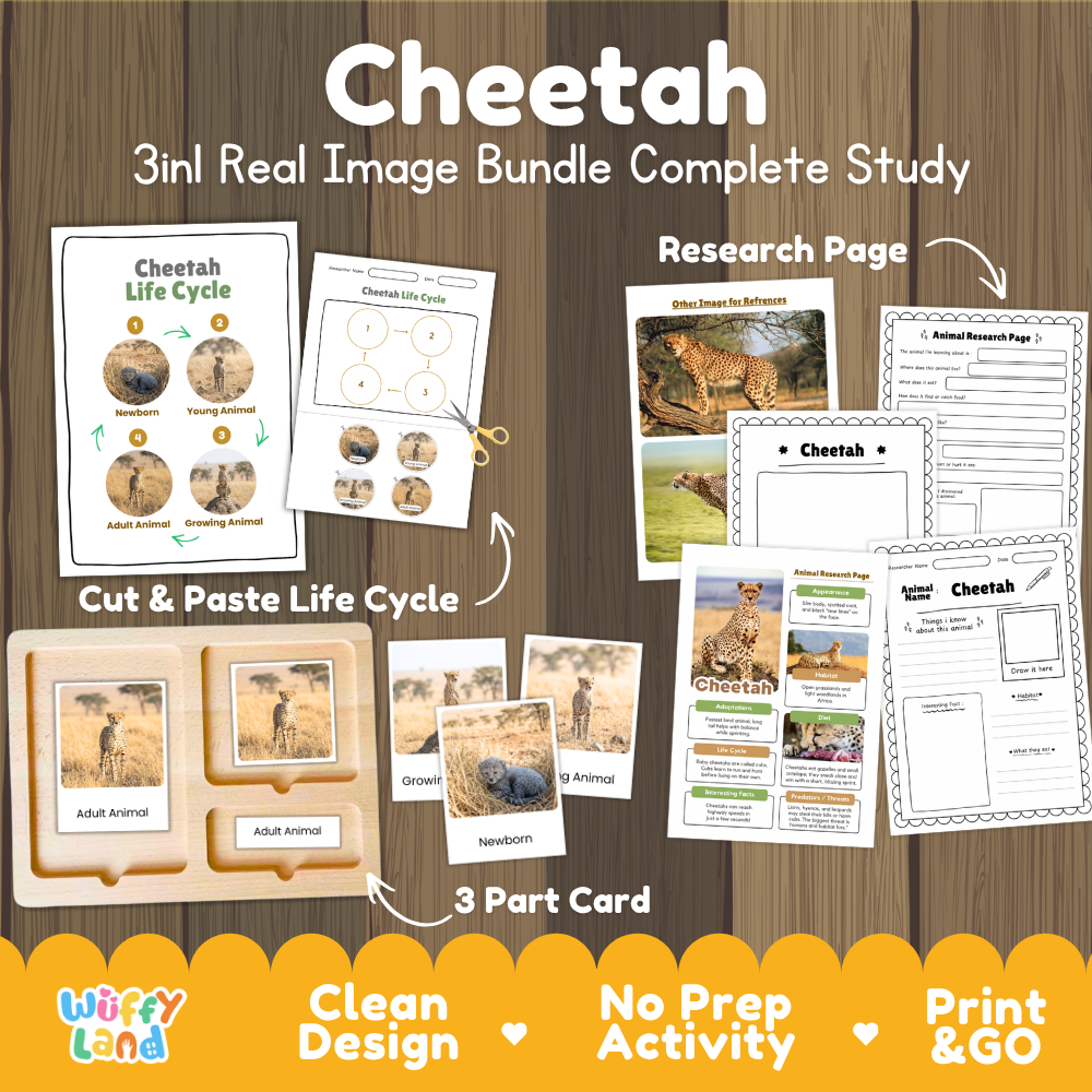 Cheetah 3-in-1 real image bundle complete study cover showing cut and paste life cycle, 3 part cards, and research pages   