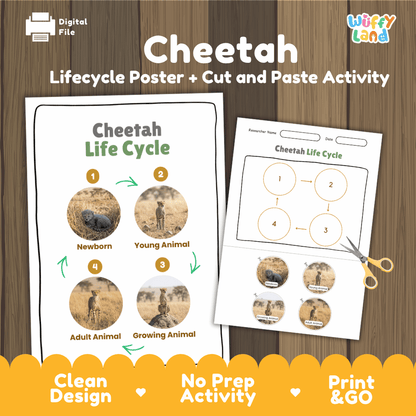 Cheetah Life Cycle Poster and Cut and Paste Activity Worksheets