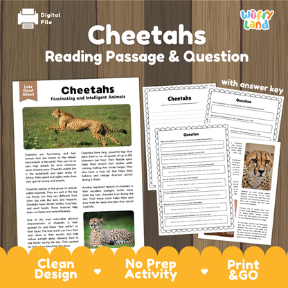Digital reading activity sheet set about cheetahs, shown on a wood background with the title 'Cheetahs Reading Passage & Question.' The layout includes a printed passage page, worksheet pages with question areas, and a 'with answer key' note.