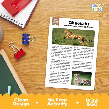 Cheetahs Reading Passage and Comprehension Questions Worksheets