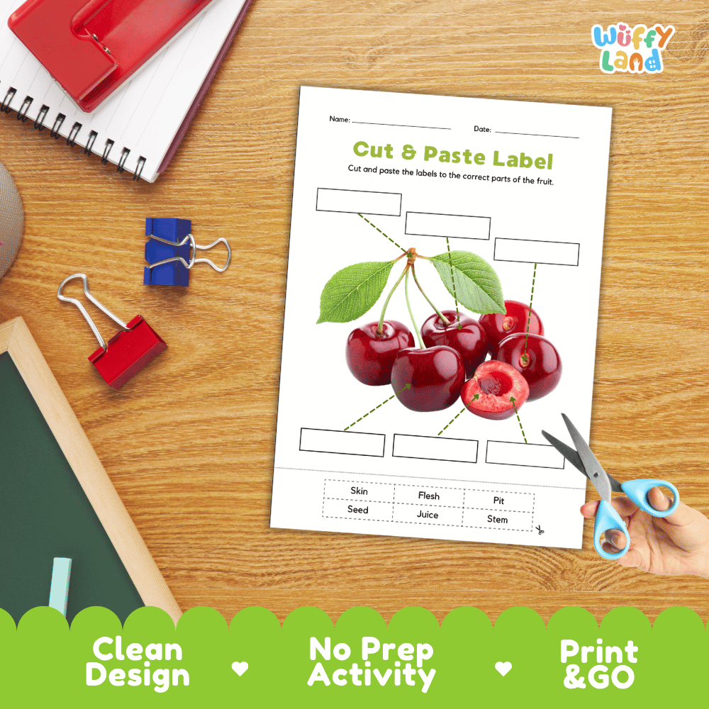 Differentiated cherry fruit labeling worksheets featuring write-in callout boxes and vocabulary word bank