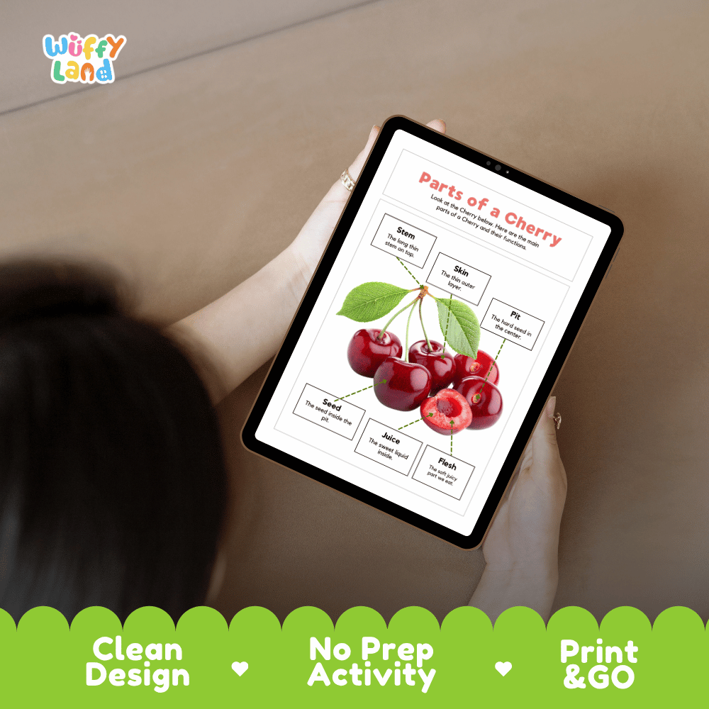 Hands-on cut and paste cherry labeling worksheet featuring dashed cut-out word tiles, pointer lines, and scissors graphic