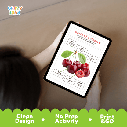 Hands-on cut and paste cherry labeling worksheet featuring dashed cut-out word tiles, pointer lines, and scissors graphic
