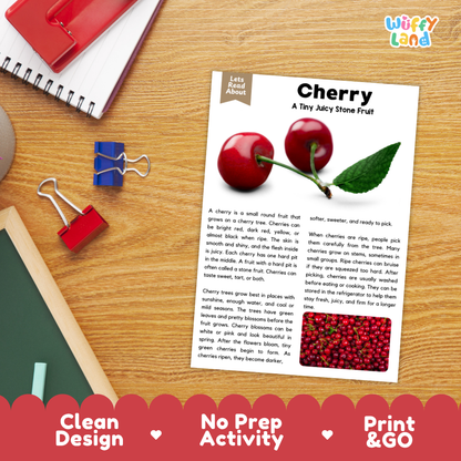 Student reading comprehension worksheet with short-answer questions and lined sections about the cherry fruit