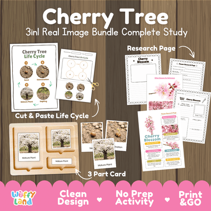  Cherry tree 3in1 real image bundle complete study printable featuring life cycle cut and paste worksheets, Montessori 3-part cards, and research pages