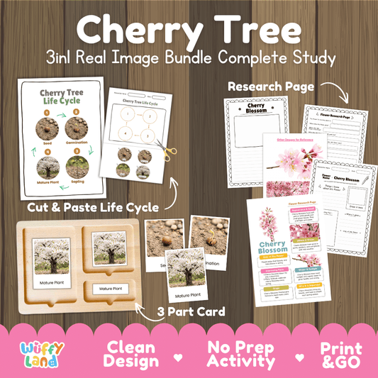  Cherry tree 3in1 real image bundle complete study printable featuring life cycle cut and paste worksheets, Montessori 3-part cards, and research pages
