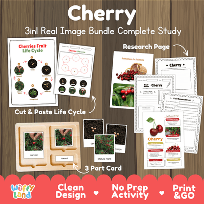 Cherry fruit life cycle 3in1 real image bundle complete study overview featuring cut and paste worksheets, Montessori 3-part cards, and research pages from Wuffy Land 🍒🌱