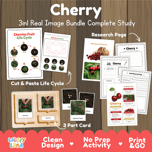 Cherry fruit life cycle 3in1 real image bundle complete study overview featuring cut and paste worksheets, Montessori 3-part cards, and research pages from Wuffy Land 🍒🌱