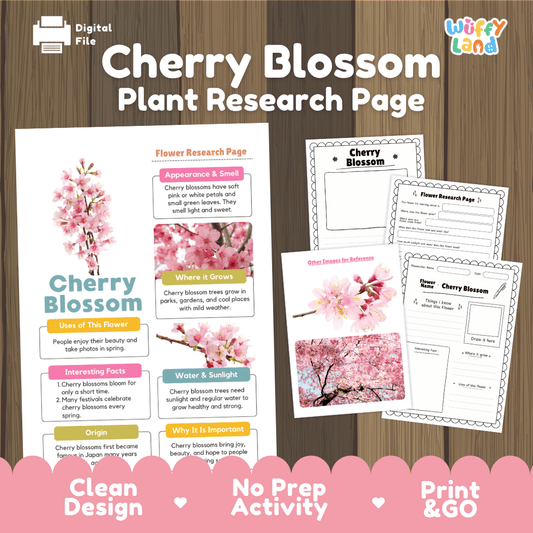Student plant and flower research page writing worksheets with real close up pink cherry blossom flowers photos, lined note-taking prompts, and drawing frames