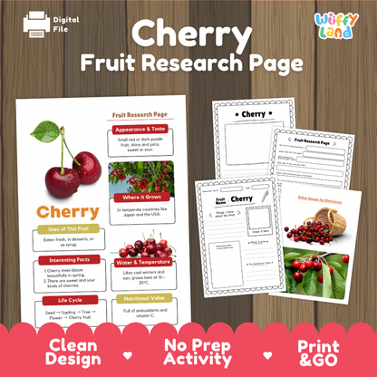 Cherry Fruit Research Page Worksheets and Fact Sheet