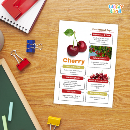 Cherry Fruit Research Page Worksheets and Fact Sheet