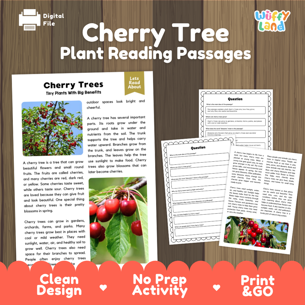 Cherry Tree Plant Reading Passages Worksheets and Comprehension Activity