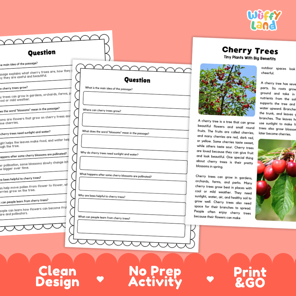 Cherry Tree Plant Reading Passages Worksheets and Comprehension Activity