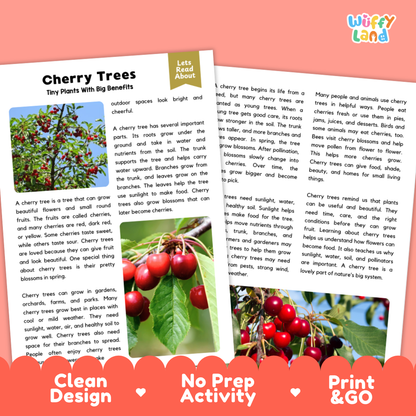 Cherry Tree Plant Reading Passages Worksheets and Comprehension Activity