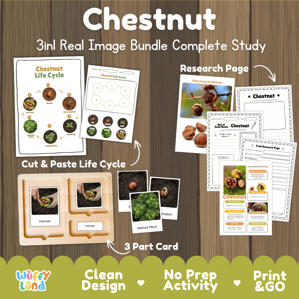 Complete Chestnut 3-in-1 real image study bundle featuring cut and paste worksheets, Montessori 3-part cards, and research pages 🌰🌱