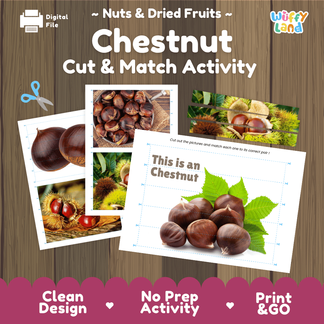 Chestnut Cut and Match Activity Worksheets | Nuts and Dried Fruits Puzzle Printables
