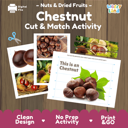 Chestnut Cut and Match Activity Worksheets | Nuts and Dried Fruits Puzzle Printables