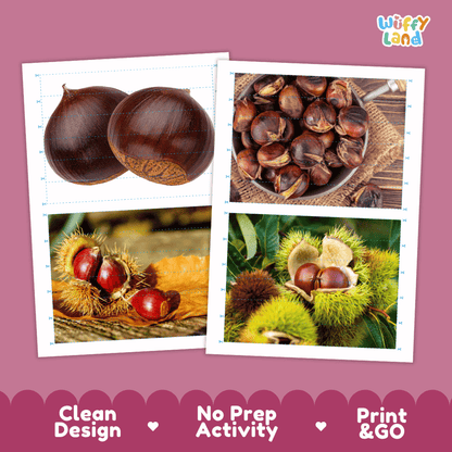 Chestnut Cut and Match Activity Worksheets | Nuts and Dried Fruits Puzzle Printables