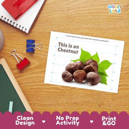 Chestnut Cut and Match Activity Worksheets | Nuts and Dried Fruits Puzzle Printables