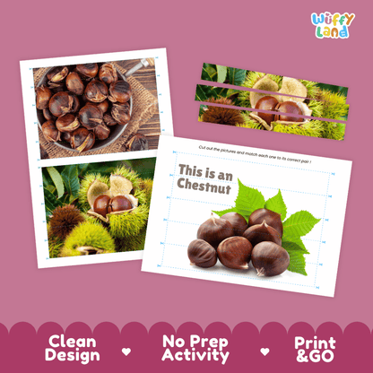Chestnut Cut and Match Activity Worksheets | Nuts and Dried Fruits Puzzle Printables