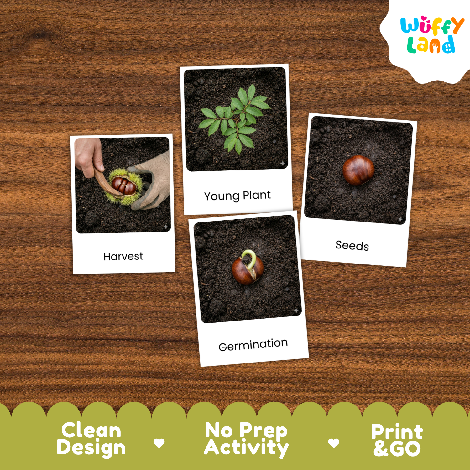 Four educational activity cards about planting and seed germination arranged on a brown wood background. The cards show a hand harvesting a plant, a young green plant, a brown seed in soil, and a sprouting seed under the labels 'Harvest', 'Young Plant', 'Seeds', and 'Germination'.