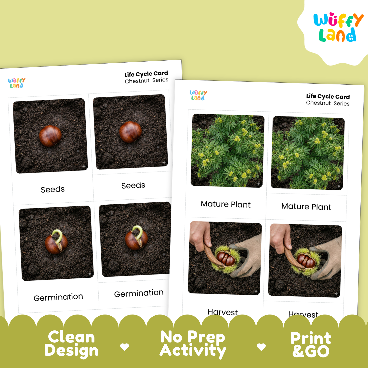 Two printed life cycle cards for chestnuts from Wuffy Land are shown on a pale green background. The cards show labeled photos of chestnut seeds, germination, mature plant, and harvest, with text reading 'Life Cycle Card Chestnut Series' and feature callouts along the bottom: 'Clean Design,' 'No Prep Activity,' and 'Print & GO.
