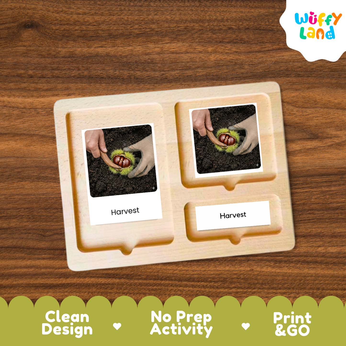A wooden Montessori-style activity board with two labeled slots reading 'Harvest,' each containing a small printed photo of hands harvesting green beans. The board is shown on a wood-grain background, with a 'Wuffy Land' logo in the top right and a green banner at the bottom reading 'Clean Design,' 'No Prep Activity,' and 'Print & GO.