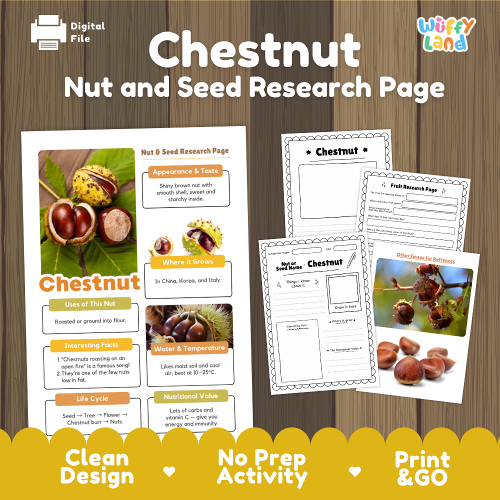 Chestnut Nut and Seed Research Page Worksheets and Fact Sheet