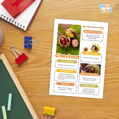Chestnut Nut and Seed Research Page Worksheets and Fact Sheet