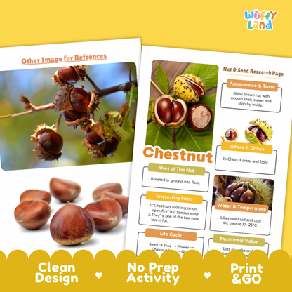 Chestnut Nut and Seed Research Page Worksheets and Fact Sheet