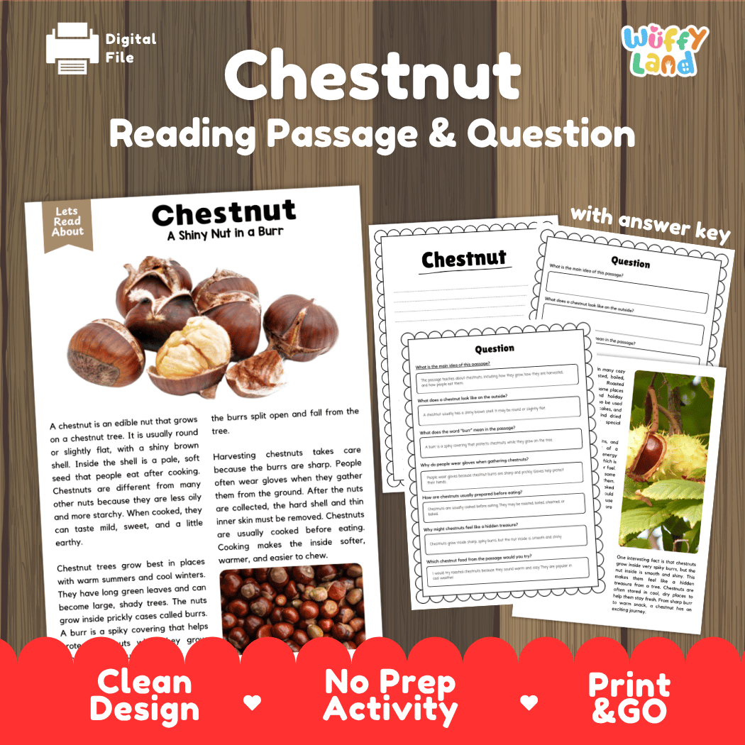 Digital reading activity bundle for 'Chestnut' featuring a printed reading passage, worksheet pages with comprehension questions, and a red promotional banner at the bottom. The brand 'Wiffly Land' is visible in the top right corner.