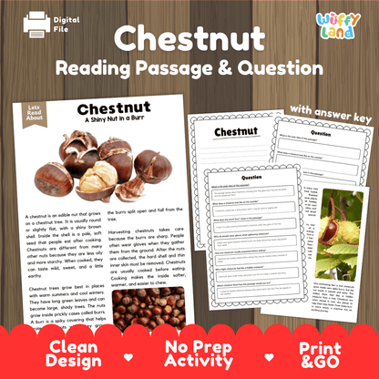Digital reading activity bundle for 'Chestnut' featuring a printed reading passage, worksheet pages with comprehension questions, and a red promotional banner at the bottom. The brand 'Wiffly Land' is visible in the top right corner.