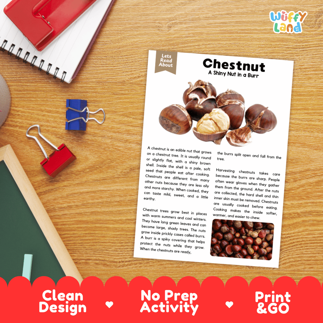 An educational activity sheet titled 'Chestnut: A Shiny Nut in a Barr' displayed on a wooden desk, surrounded by school supplies like a spiral notebook, binder clips, and a red notebook. The sheet features text, a chestnut cross-section, and a small photo of cooked chestnuts.