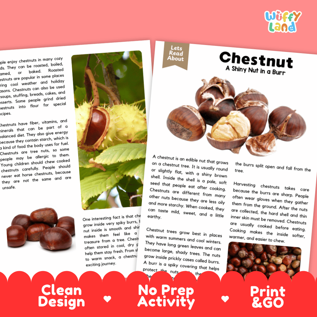 An educational children's activity booklet titled 'Chestnut: A Shiny Nut in a Burt' by Wiffly Land, featuring a cover with a chestnut illustration and two activity pages, displayed on a white background with red decorative banners at the bottom.