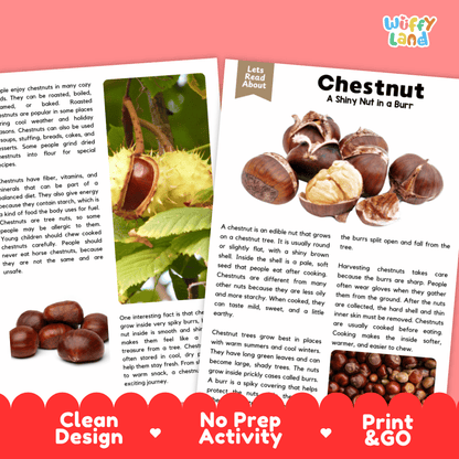 An educational children's activity booklet titled 'Chestnut: A Shiny Nut in a Burt' by Wiffly Land, featuring a cover with a chestnut illustration and two activity pages, displayed on a white background with red decorative banners at the bottom.