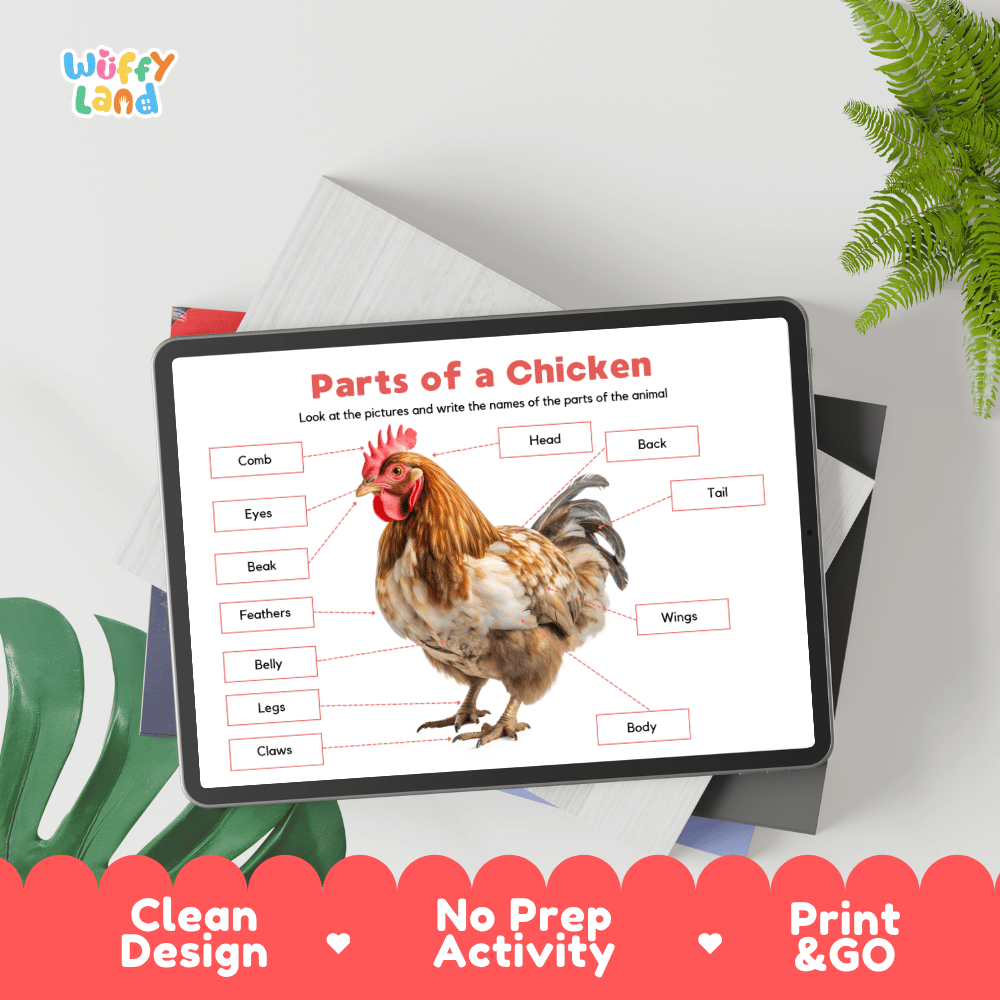 Hands-on chicken anatomy cut and paste worksheet with printable word tags, callout pointer lines, and scissors graphic