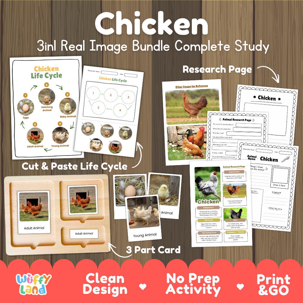 Chicken 3-in-1 real image bundle complete study cover showing cut and paste life cycle, 3 part cards, and research pages