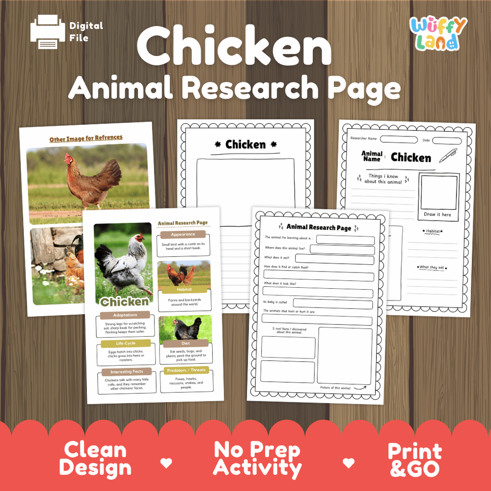 Digital preview of a 'Chicken Animal Research Page' activity sheet set by Wiffy Land, displayed on a wood-grain background with a red banner at the bottom highlighting key features.