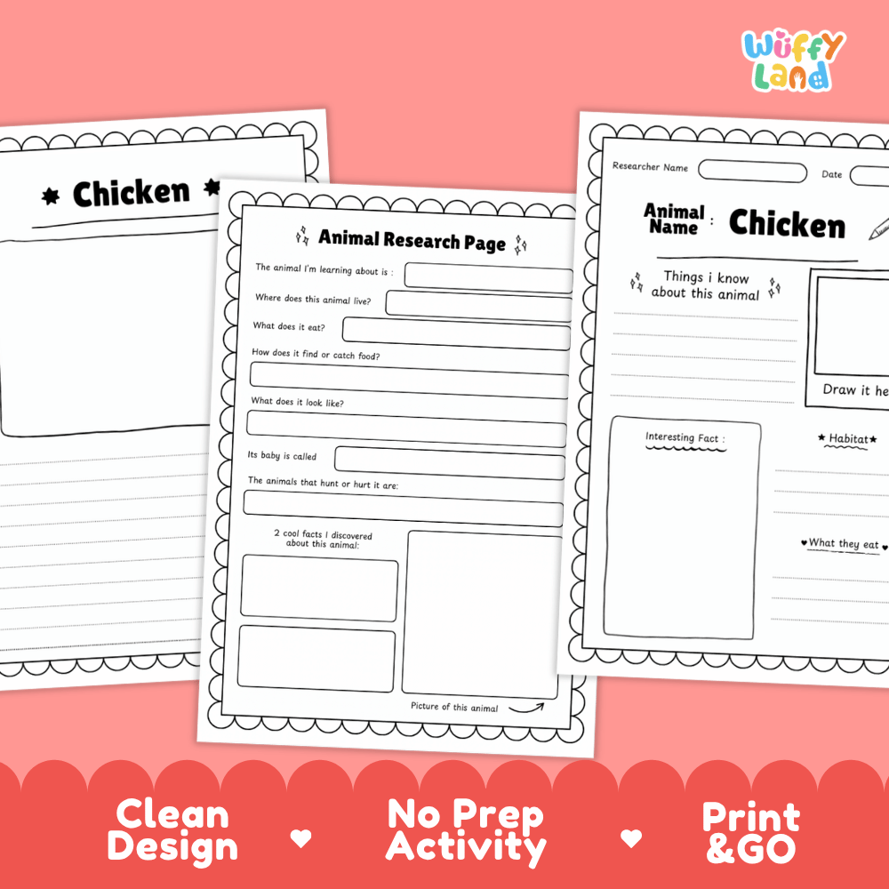 Three printable worksheet pages about a chicken displayed on a pink background with a red banner at the bottom. The pages include an animal research page and a chicken fact sheet.