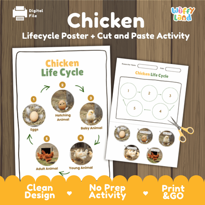 Chicken Lifecycle Poster and Cut and Paste Activity Worksheets | Animal Science Printables