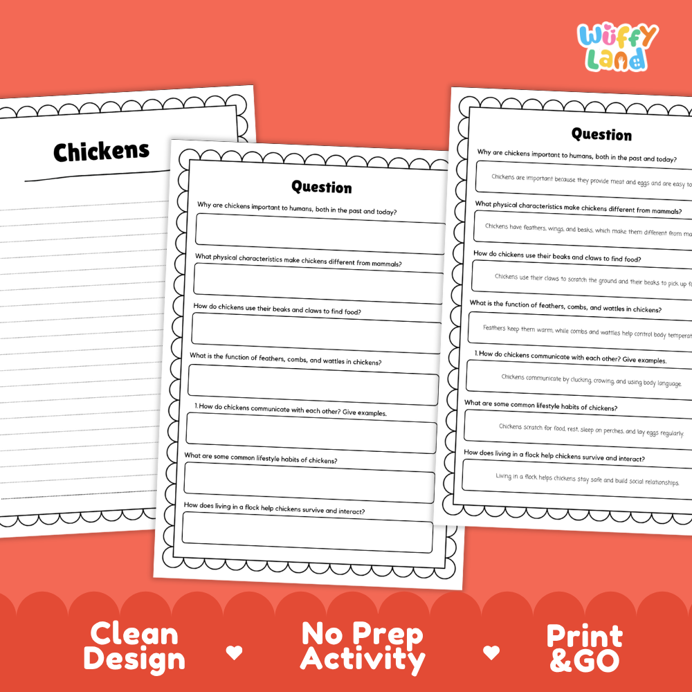 Chickens Reading Passage and Comprehension Questions Worksheets