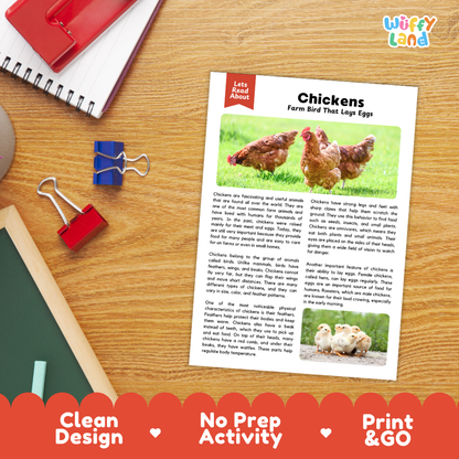 Chickens Reading Passage and Comprehension Questions Worksheets