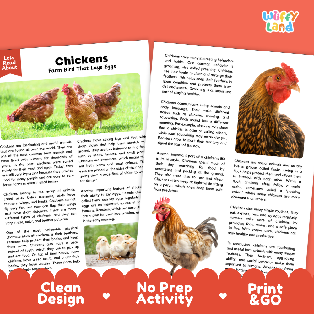 Chickens Reading Passage and Comprehension Questions Worksheets