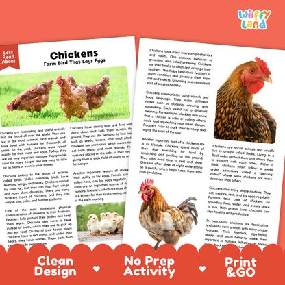 Chickens Reading Passage and Comprehension Questions Worksheets