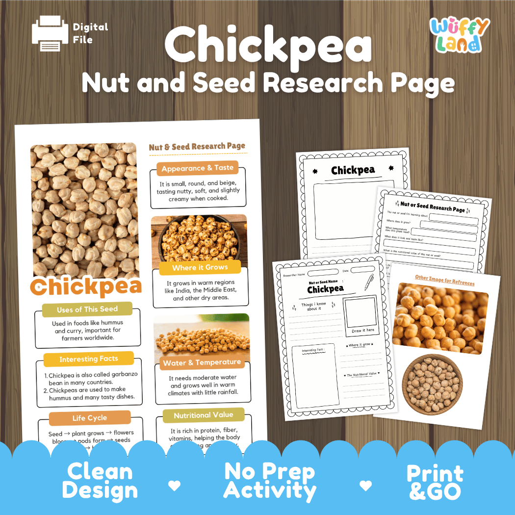 Chickpea Nut and Seed Research Page Worksheets and Fact Sheet