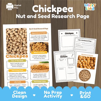 Chickpea Nut and Seed Research Page Worksheets and Fact Sheet