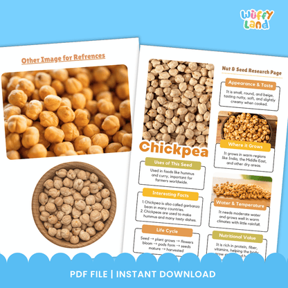 Chickpea Nut and Seed Research Page Worksheets and Fact Sheet