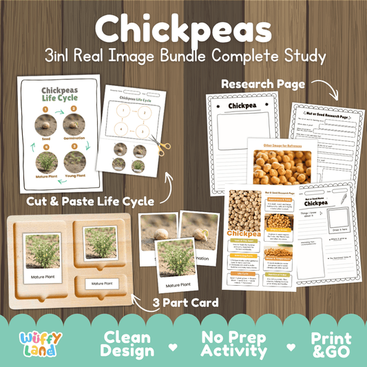 Complete Chickpeas 3-in-1 real image study bundle featuring cut and paste worksheets, Montessori 3-part cards, and research pages 🧆🌱