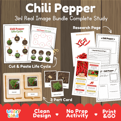 Chili pepper plant 3in1 real image bundle complete study printable featuring 6-stage life cycle cut and paste worksheets, Montessori 3-part cards, and research pages