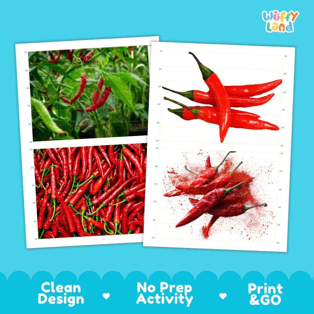 Printable activity sheets featuring photographic chili pepper puzzle boards and cutting guides
